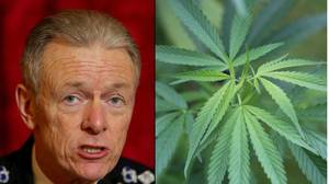 前警察首席要求“紧急审查”进入英国大麻法律