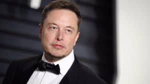 Elon Musk希望成为滚石 - 现在他是