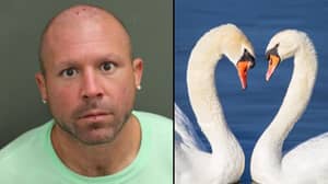 Ex-MMA战斗机因佛罗里达州的头部踢脚天鹅而被捕是“练习空手道”