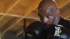 Mike Tyson在新培训视频中展示了他的传奇速度