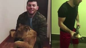 俄罗斯vlogger通过将鳄鱼，蛇和狮子放在床上来嘲笑朋友