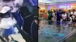 购物中心鱼缸里的小女孩被鲨鱼咬伤