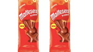 麦丽素巧克力橙兔将在明年复活节上市