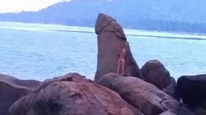 游客脱光衣服，在神圣的“阴茎”岩石上摩擦，引发愤怒