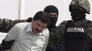 卡特尔妻子揭示了在El Chapo的内圈中的样子