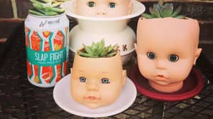 奇怪的家庭装饰趋势涉及回收娃娃作为种植者