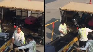 鲁莽的行李搬运工拍摄了机场扔了“心爱的人”行李