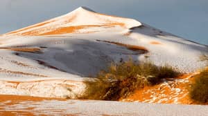 雪落在40年来的第三次撒哈拉沙漠