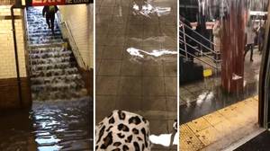 纽约市的地铁被洪水淹没，巨大的风暴摧毁了我们东北