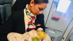 菲律宾航空公司的母乳喂养空姐进入供乘客的饥饿婴儿喂养