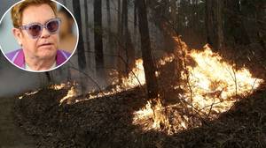埃尔顿约翰承诺100万美元到澳大利亚丛林大火危机