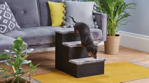 阿尔迪（Aldi）正在出售宠物楼梯，以帮助您的狗在沙发上爬上