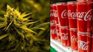 可口可乐准备在有史以来第一次制作大麻饮料