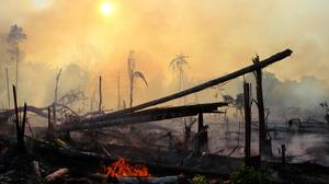 亚马逊雨林在10年内遭受最糟糕的火灾赛
