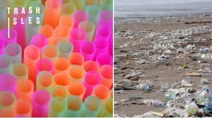康沃尔提议禁止酒吧中的塑料吸管以减少海洋污染