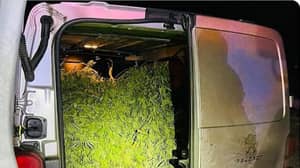 警方在M1上发现估计价值25万英镑的大麻