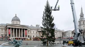 挪威被​​指控与特拉法加广场圣诞树“不尊重”英国