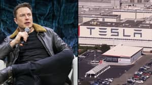 埃隆·马斯克（Elon Musk）威胁要把特斯拉从加利福尼亚拉出来