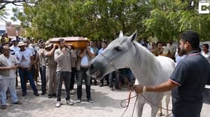 令人心碎的视频显示Horse在所有者的葬礼上哭泣
