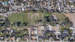谷歌地图显示粗鲁的信息割发到邻居家中的草坪
