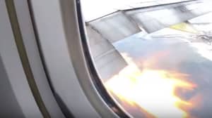 随着火焰从飞机的翼爆发，恐怖的乘客看起来很恐怖