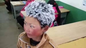 £245k为中国男孩筹集，其头发在上学的路上冻结