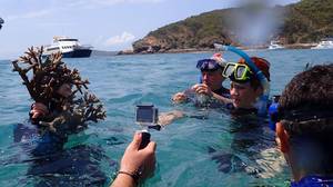 Pauline Hanson挑战科学家关于大堡礁的健康