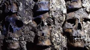 在新挖掘期间，墨西哥城下面发现了超过100个头骨