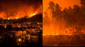 作为葡萄牙野火的游客疏散，导致毁灭第三天跑步