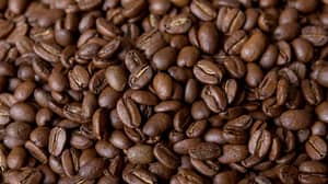 澳大利亚研究人员宣称咖啡确实过量
