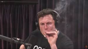 特斯拉亿万富翁埃隆·马斯克（Elon Musk）在互联网聊天节目中烟杂草
