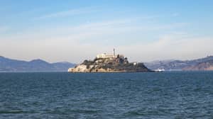 据称逃过alcatraz的人向FBI发送信，说他幸免于难