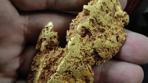 博览器发现罕见的金矿金价值14,700英镑