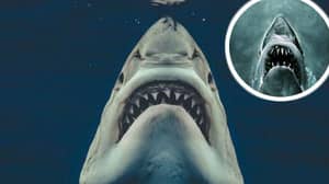 一条大鲨鱼完美地从颌骨中重新创建了标志性姿势的那一刻