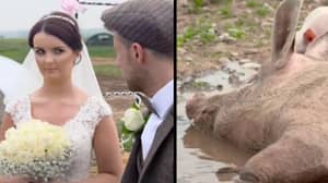 男人花了14万英镑在以猪为主题的婚礼上 - 令人惊讶的是，新娘不开心