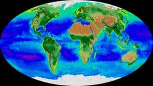 新的NASA地球地图显示了过去二十年来的气候变化