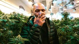 Mike Tyson'不会为大麻'为他的展览与Roy Jones Jr进行测试