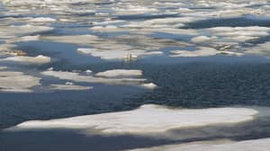 北极海冰在有史以来下降到第二最低水平