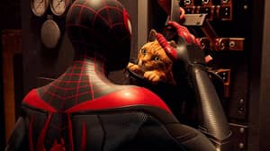 新的蜘蛛侠游戏将采用犯罪战斗蜘蛛猫