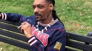 Snoop Dogg Trolls总统乘坐白宫外的吸烟联合