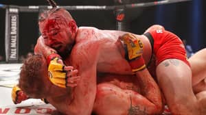 MMA战斗由于画布上的鲜血而取消了