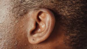 聋人出生的人解释他们在他们的头脑里面听到了什么