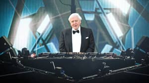 David Attenborough正在举办93岁的123岁以上的EDM音乐