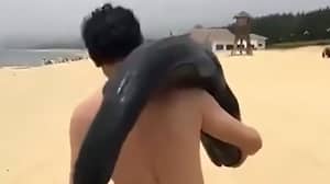 中国警察正在寻找从海滩海豚带走的男子