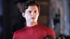 汤姆荷兰表示，下一个蜘蛛侠电影是“最雄心勃勃的独立超级英雄电影”