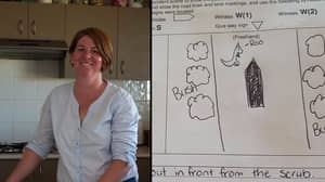 澳大利亚妇女绘制袋鼠的Piss-Sunny版本供保险索赔