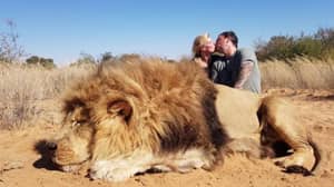 女儿在看到他摆在与死的狮子的照片后否认父亲