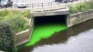 利兹河发光“忍者乌龟”绿色时，通勤者惊呆了