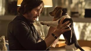 约翰·威克（John Wick）的导演不得不与工作室作斗争以使狗在电影中的死亡保持