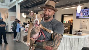 戴夫·包蒂斯塔（Dave Bautista）收养虐待的小狗，并提供$ 5K